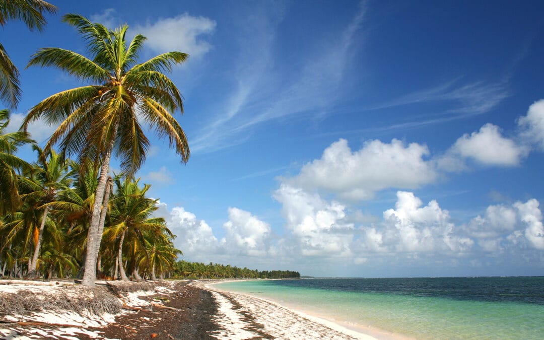 Deserted Caribbean Beach