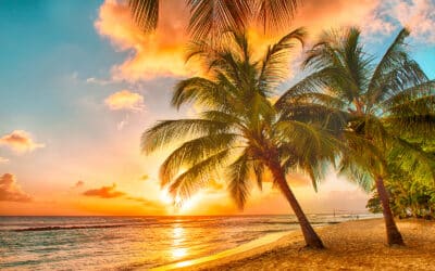 Enjoy A Caribbean Escape with VacayStore
